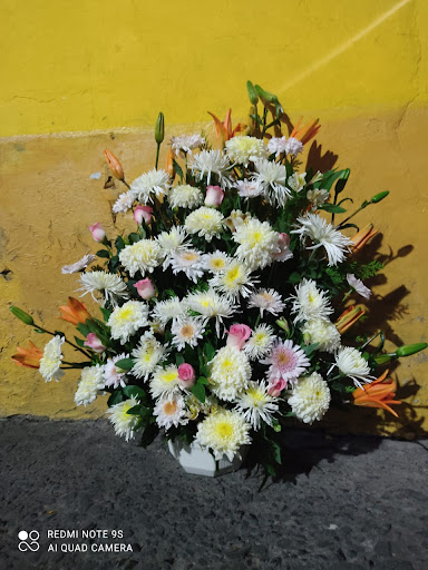 Floreria La Escondida