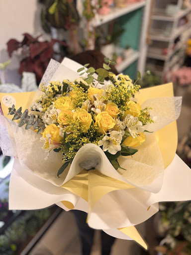Mi tierra, Florería y vivero.Oriquídeas, macetas, vitaminas.