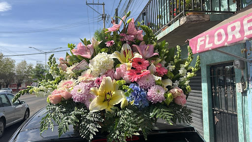 Floreria Golden Rous