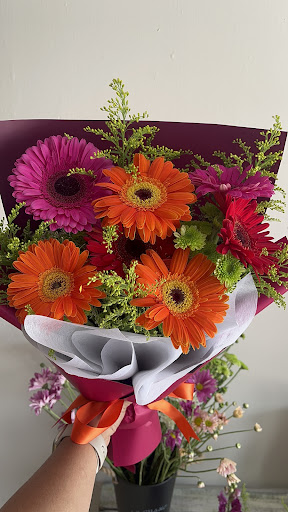 Florería Diente de León