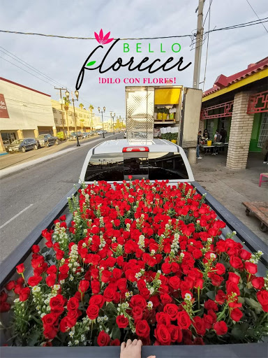 Bello Florecer (Flores Frescas, Follajes y Accesorios) MENUDEO Y MAYOREO