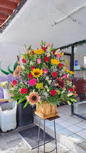 Floreria san judas tadeo