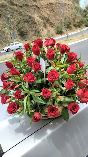 Siempre Flores Santa fe