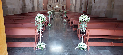 La violetera (Floreria) Boutique Floral