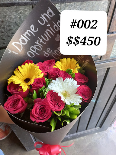 FLORERIA Y DECORACIONES MELISSA