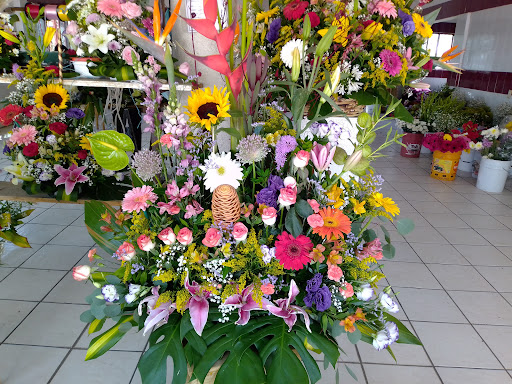 Floreria Nueva Villa Juárez