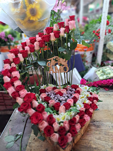 Floreria Lupita Aguascalientes