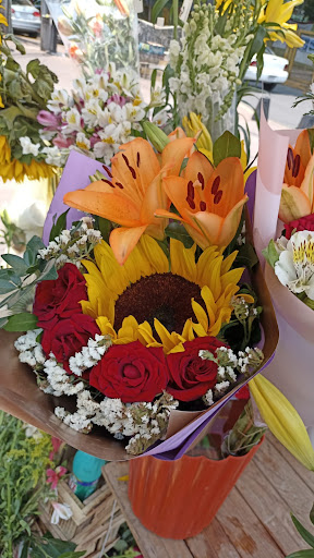 Flores luna