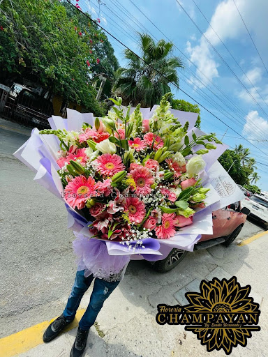 Floreria Champayan