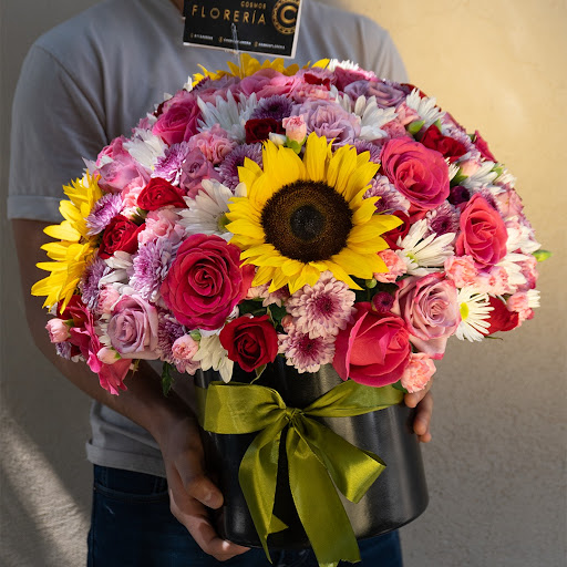 cosmos floreria