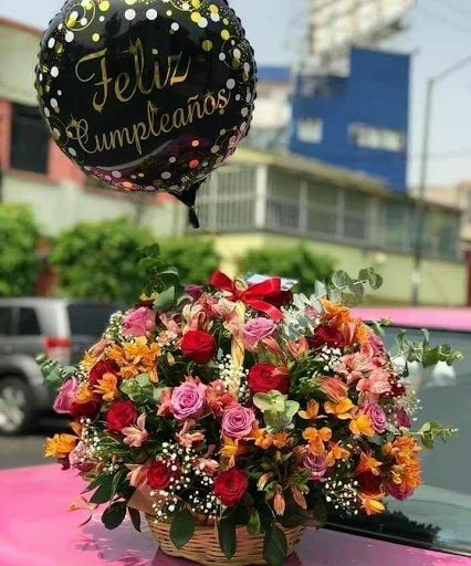 Floreria Camelia