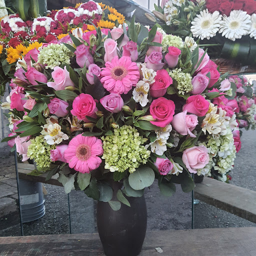 Floreria Fernando's.