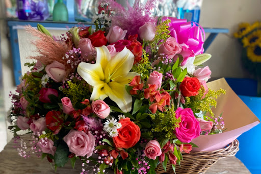 Floreria Linares Suc. Nepenta