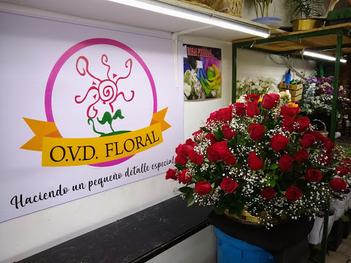 O.V.D Floral