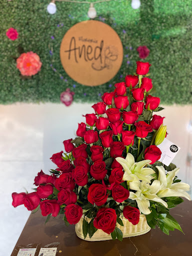 Aned Florería - online flowershop