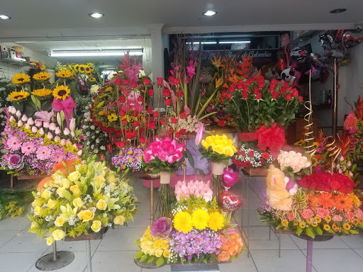 Flores De Colombia