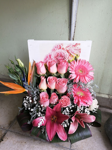 Florería lilys