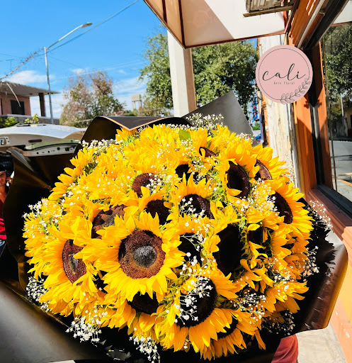 Floreria Cali Montemorelos