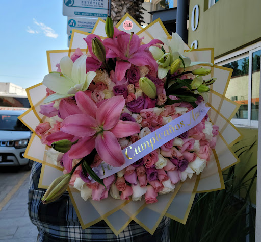 Florería Santa Rosa