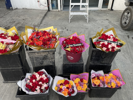 Floreria Linares Suc. Escobedo