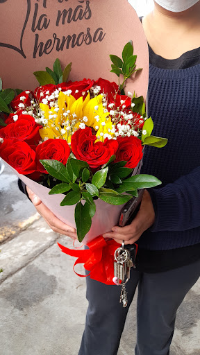 FLORERIA GIRASOLES PARA LUCIA