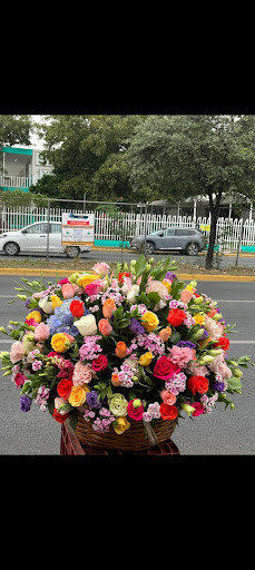 Florería García - Venustiano Carranza Mty
