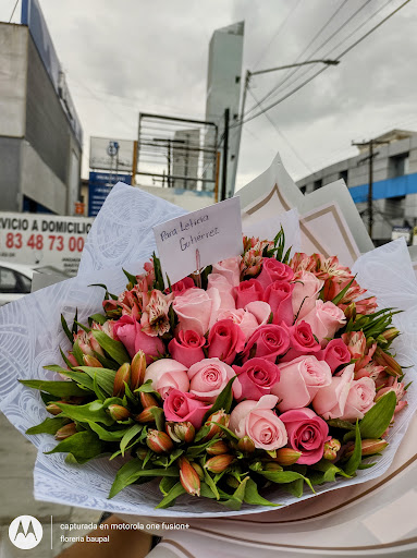 Floreria Baupal (sucursal Guadalupe)