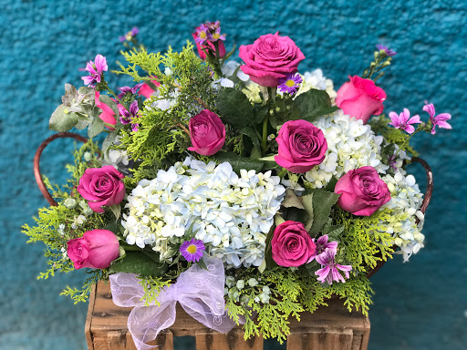 Florería Valencia