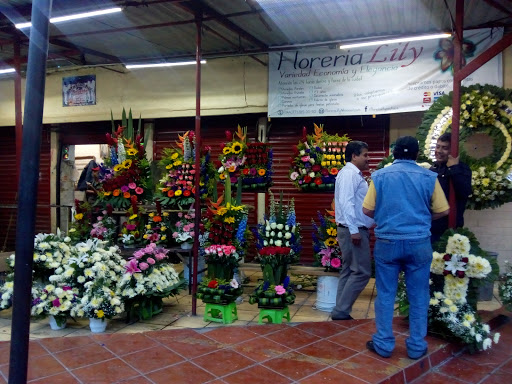 Florería Lily