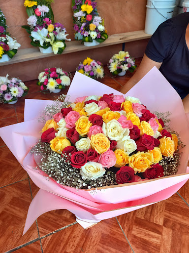 Flores del caribe tulum