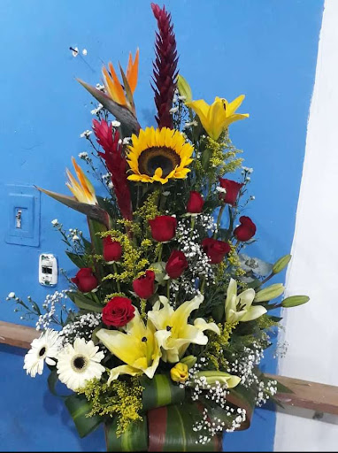 Florería Linda rosa