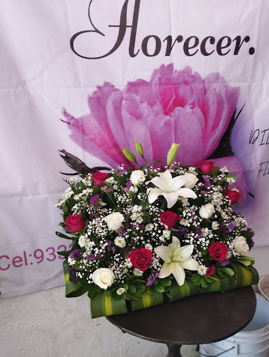 Floreria el nuevo florecer